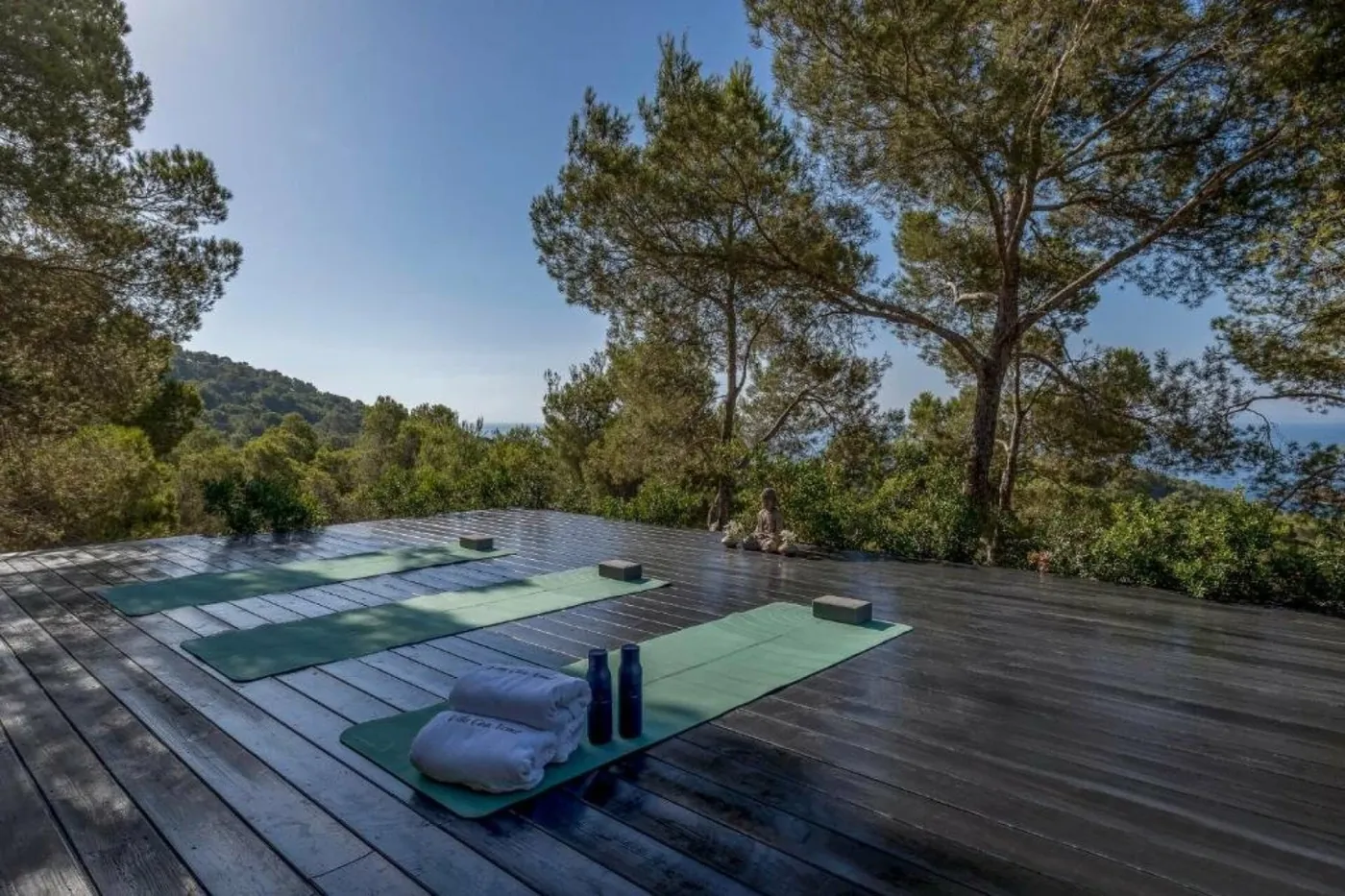 Villa Es Vedrà - Ibiza