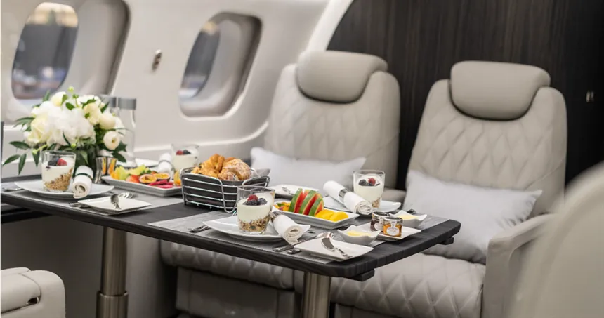 Embraer Lineage 1000 - private jet photo 3