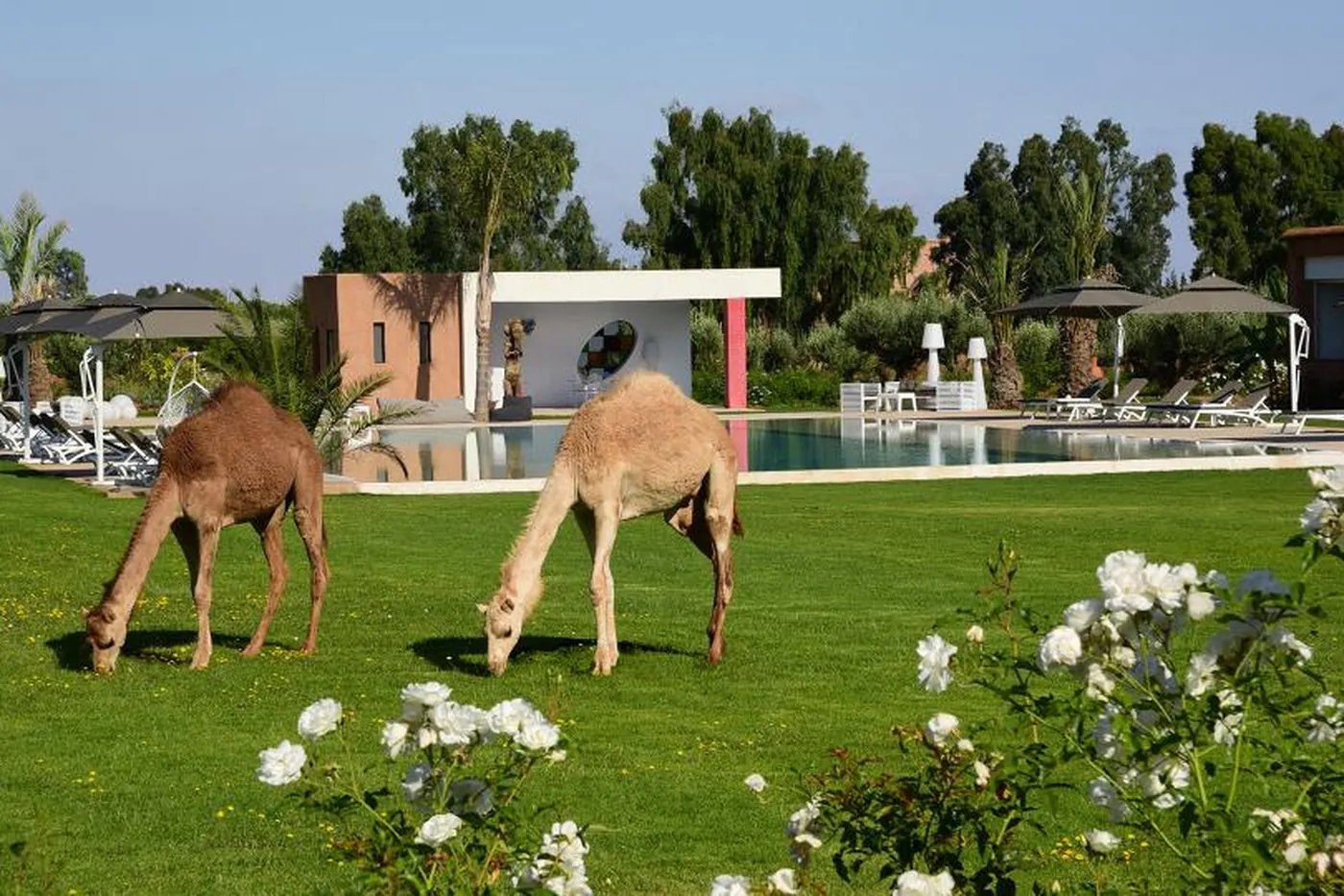 Villa Agafay - Marrakech