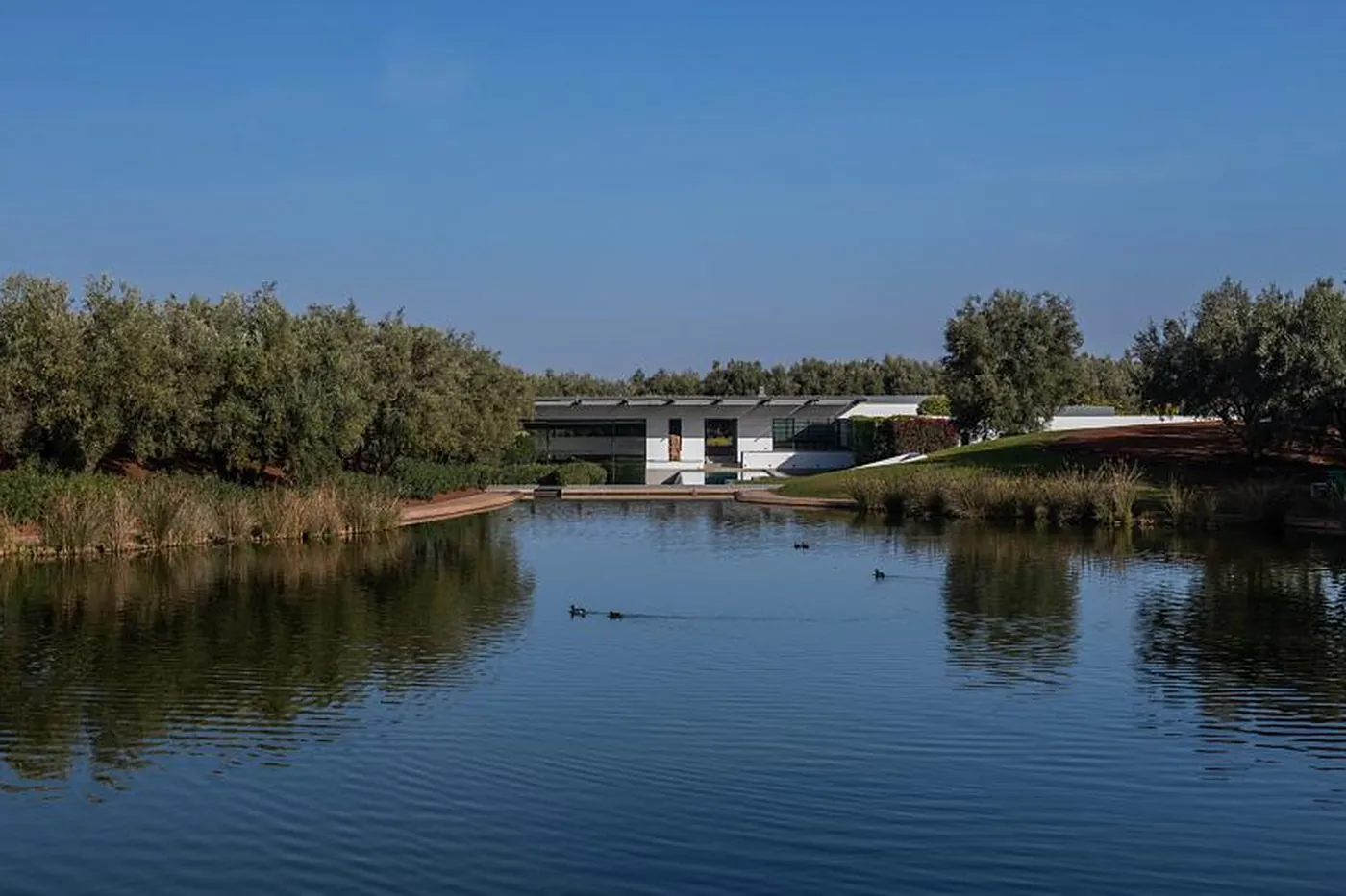 Villa Bergamote - Marrakech