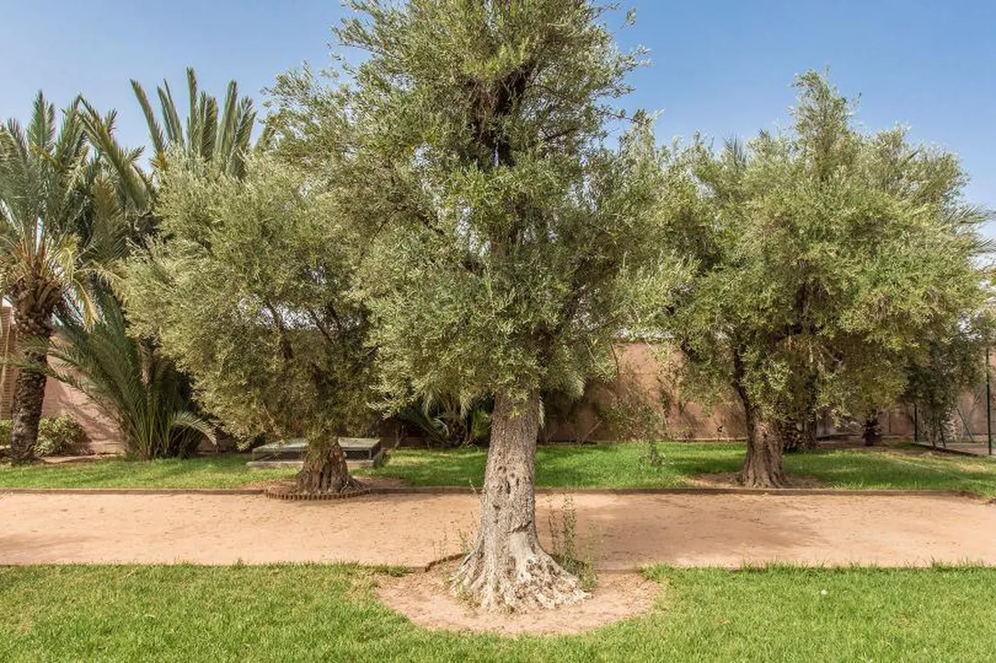 Villa Menthe - Marrakech