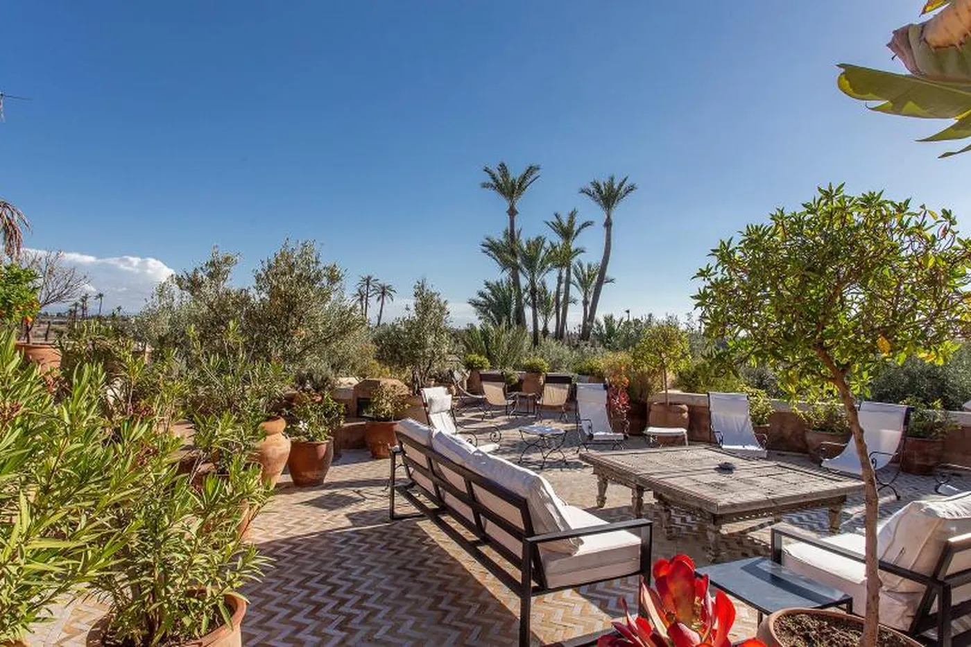 Villa Mimosa - Marrakech