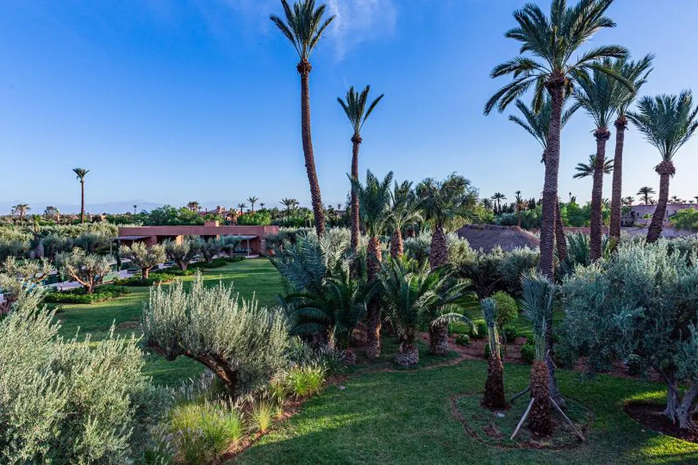 Villa Oasis - Marrakech