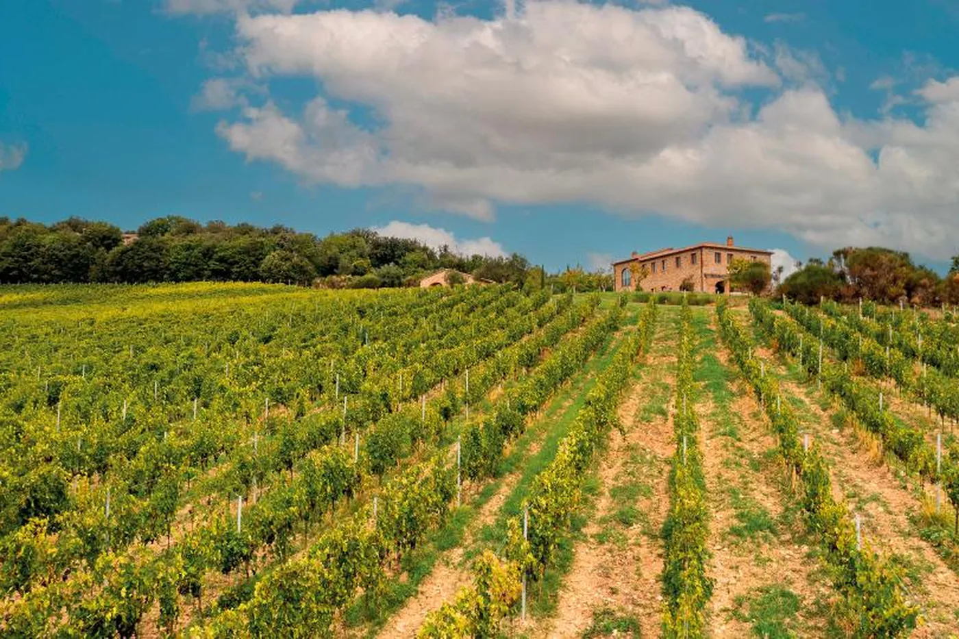 Villa Girasole - Tuscany