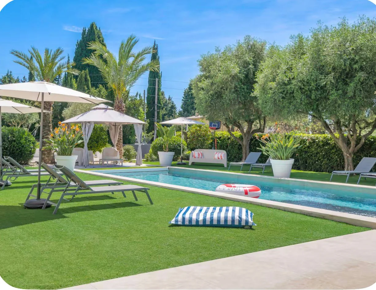 Garden, pool and olive trees