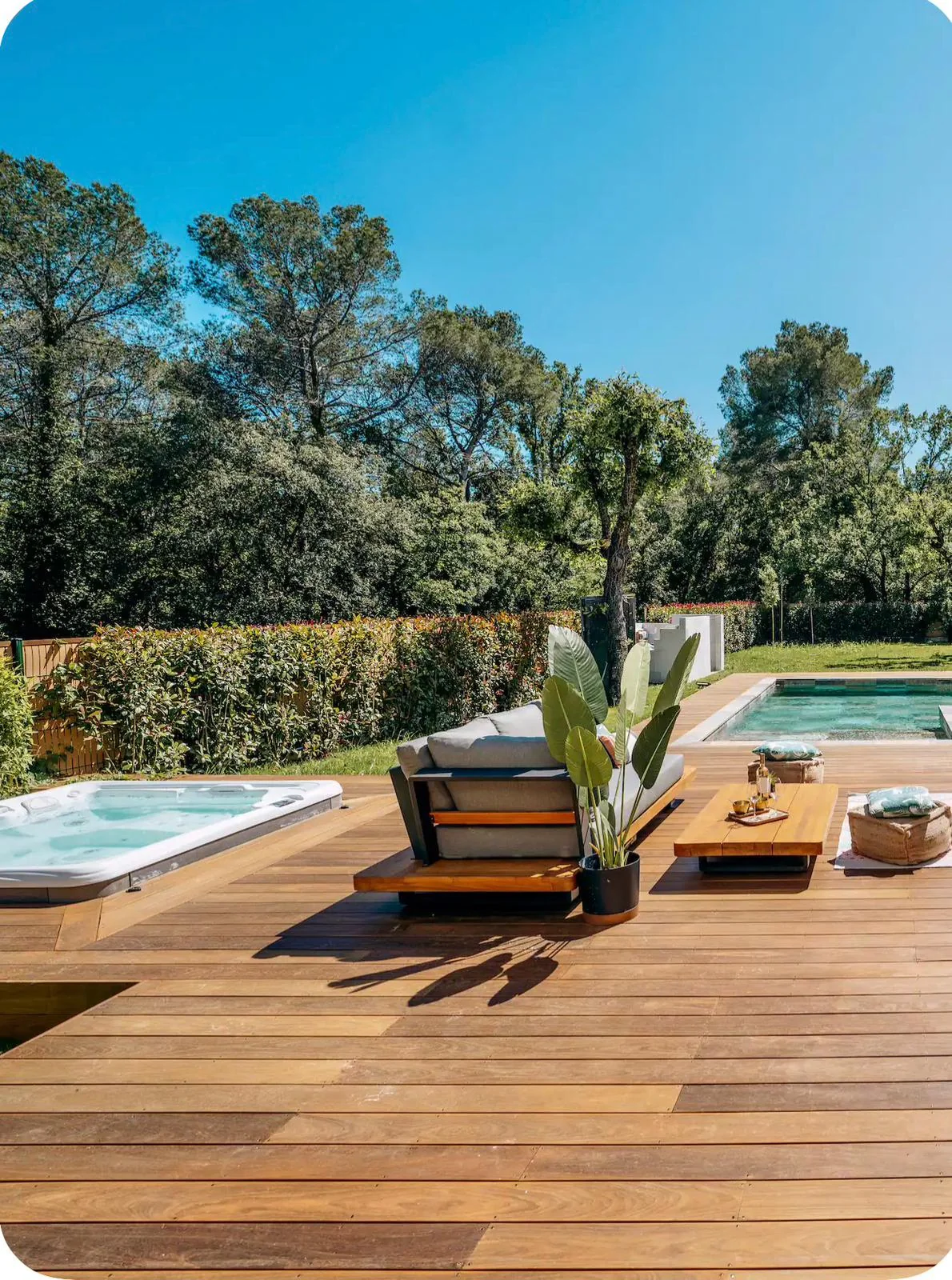 Garden planted with olive trees
