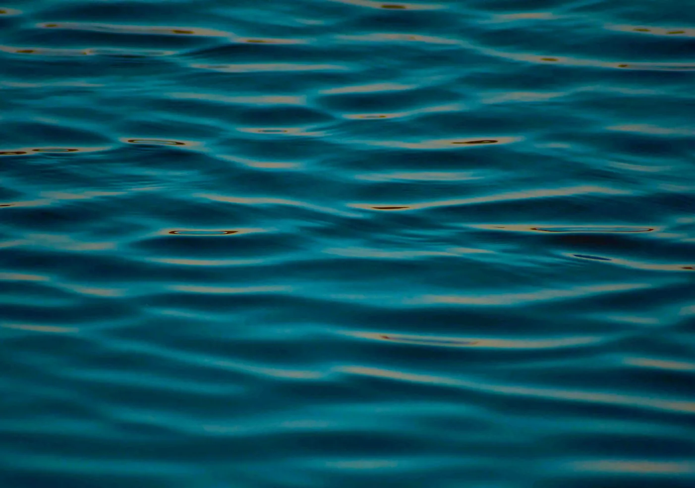 Felicita - yacht charter photo 3